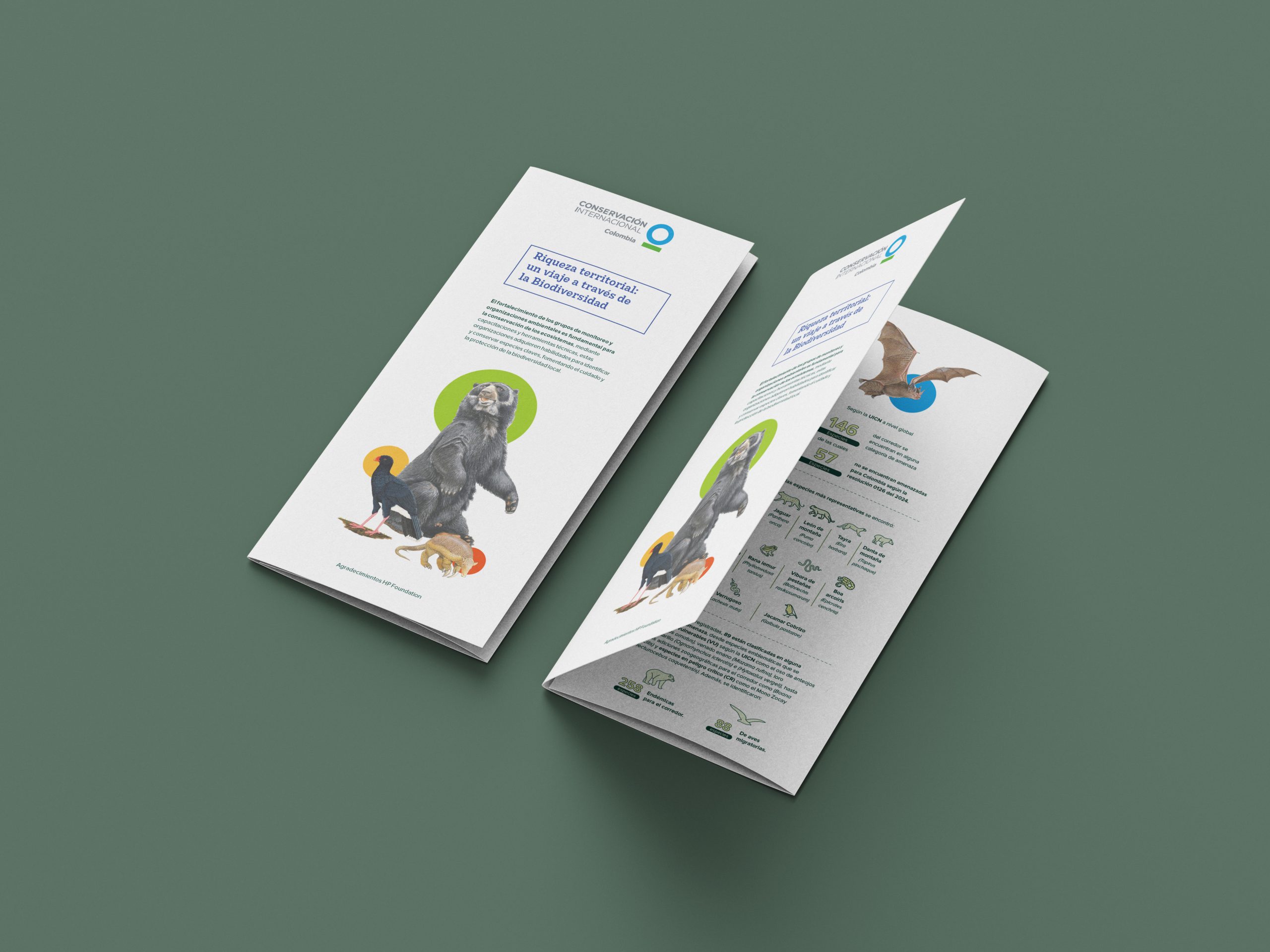 Brochure conservacion internacional